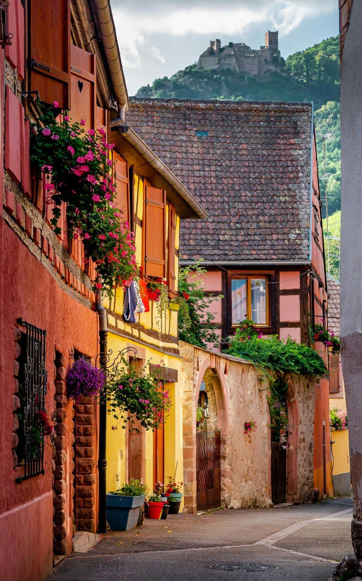 Ninichou Apartment Ribeauville (Haut-Rhin)
